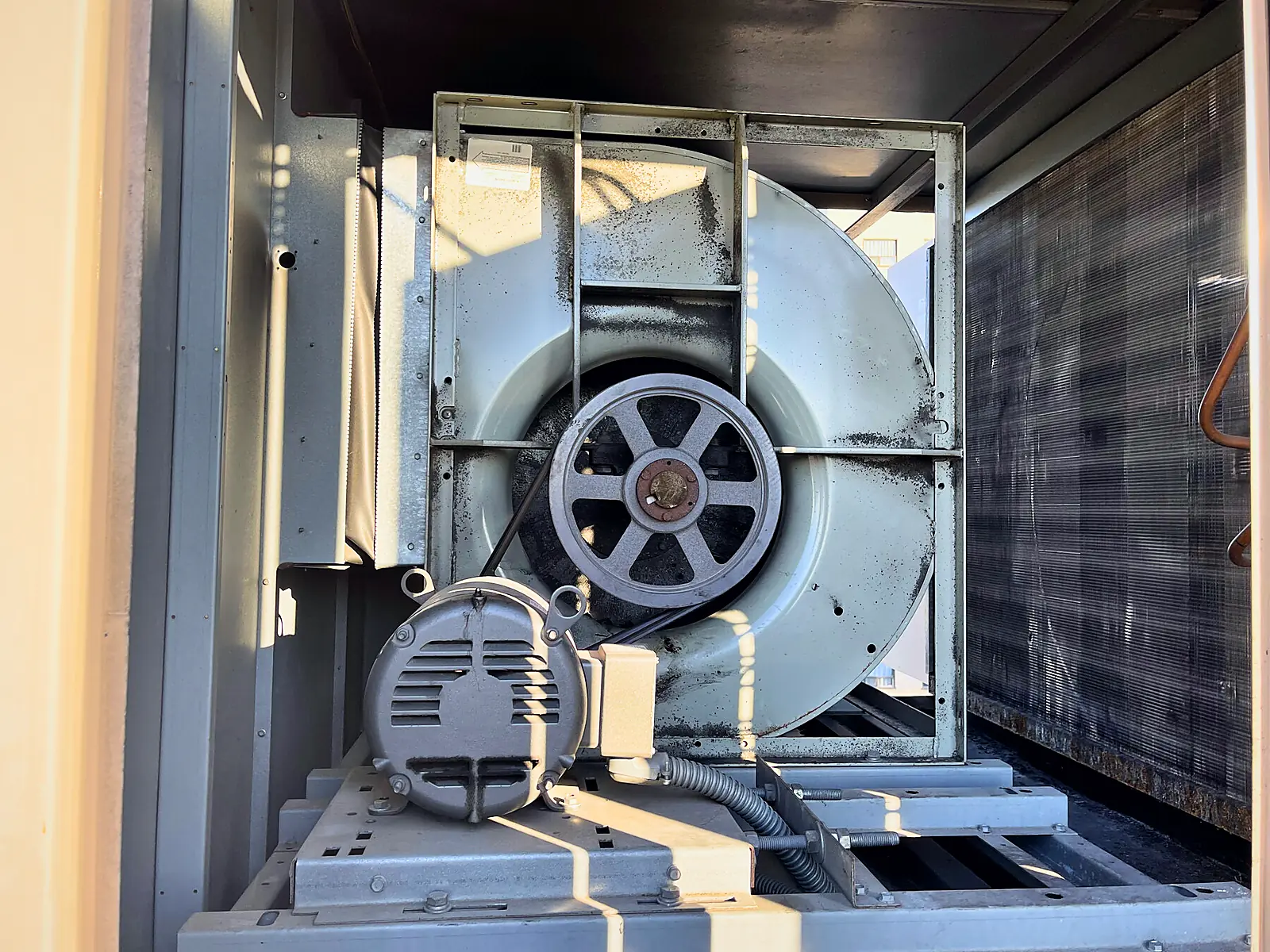 Blower and motor